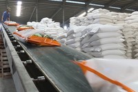 Doanh thu xuất khẩu gạo đang tiến gần mức 5 tỷ USD nhờ thuận lợi về thị trường và giá xuất khẩu tăng cao.