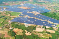 TEGROUP tiếp nối hành trình xanh