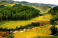 Pù Luông là điểm đến hấp dẫn đối với khách du lịch khi đến tỉnh Thanh Hoá - Ảnh: Treviettours