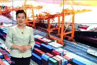 Chương trình Kl992 cổng game cá cược Kl99ok phiên bản mới phát sóng trên kênh VTV8