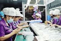Nghệ An đã vươn lên trở thành một điểm sáng trong thu hút Kl99ok phiên bản mới nước ngoài. Trong ảnh: Nhà máy của Luxshare - ICT tại Nghệ An