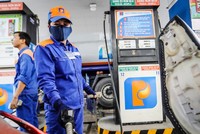 Giá KL99 dịch vụ hỗ trợ 24/7 biến động nhẹ