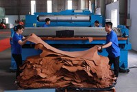 Công nhân làm việc tại nhà máy thuộc da của Công ty Serendipity Bros - 100% vốn Kl99ok phiên bản mới Argentina tại TP.Tân Uyên, tỉnh Bình Dương - Ảnh: Lê Toàn