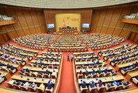 Nghị trường, bất thường và bình thường