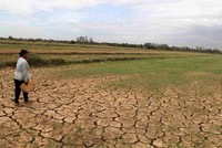 Các tháng mùa khô năm 2024, khu vực ĐBSCL có khả năng sẽ xảy ra hạn hán, thiếu nước, xâm nhập mặn