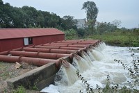Các trạm bơm phục vụ nước đổ và gieo cấy 