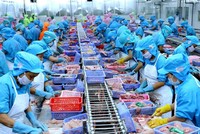 Ngành thủy sản triển khai chiến lược xuất khẩu năm 2024