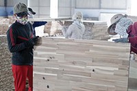Ngành gỗ xuất khẩu đang gặp khó về đầu ra, đồng thời đối mặt với một số vấn đề liên quan Kl994 nhà cái bóng đá world cup bền vững Ảnh: Đ.T