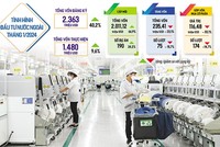 Cả số dự án và số vốn Kl99ok phiên bản mới nước ngoài đăng ký mới đều tăng trong tháng đầu năm 2024, với mức tương ứng là 24,2% và 66,9% so với cùng kỳ năm trước. Ảnh: Đức Thanh. Đồ họa: Đan Nguyễn