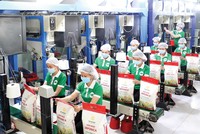 Thế giới đang tăng cường Link Vào Nhà Cái KL99 COM Tặng +199k gạo của Việt Nam
