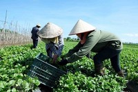 Thúc đẩy Kl992 cổng game cá cược tập thể phát triển bắt đầu từ bước đăng ký Kl992 VIP Trang Chủ 2026
