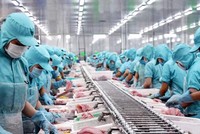 Cấp bách gỡ “thẻ vàng” cho hải sản 