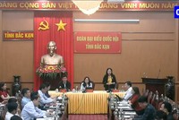 Đại biểu Nguyễn Thị Huế chất vấn từ đầu cầu Bắc Kạn (Ảnh:Quọchoi.vn).