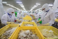 Rau quả, cà phê, hạt tiêu sang Hàn Quốc tận dụng ưu đãi FTA cao nhất