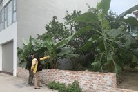 Luật Đất đai mới được kỳ vọng sẽ giúp thị trường phát triển theo hướng minh bạch, an toàn và lành mạnh hơn. Ảnh: Thanh Vũ