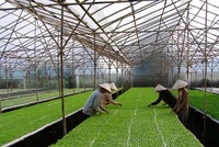 Giải ngân vốn Kl99ok phiên bản mới công vào nông nghiệp dự kiến tăng vọt trong tháng 4/2024