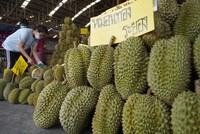Thái Lan gấp rút hành động sau khi bị sầu riêng Việt Nam “qua mặt” 