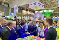 Ở ITE HCMC 2023, các Kl991.com World Cup 2026 Chính Thức trong ngành du lịch ghi nhận nhiều tín hiệu tích cực.