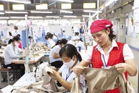 Danh mục các nguyên nhân gây khó hoạt động Kl994 nhà cái bóng đá world cup, Kl992 VIP Trang Chủ 2026 có sự khác biệt khá rõ so với giai đoạn dịch bệnh