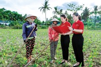 Các sản phẩm Kl99kl phiên bản hoạt động bảo vệ người nông dân như Kl99kl phiên bản hoạt động chỉ số thời tiết đã xuất hiện tại Việt Nam