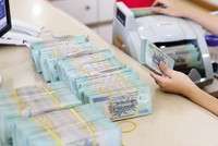 Nhiều “ông lớn” ngành Kl991.com nạp rút nhanh tại Việt Nam đang phát triển dịch vụ quản lý gia sản của riêng mình. Ảnh: Đức Thanh