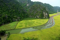 Nghi thức cúng Thần nông diễn ra bên cánh đồng lúa Tam Cốc đang vào độ chín vàng. Ảnh: Minh Đường