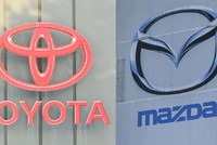 Toyota, Mazda tạm dừng Kl994 nhà cái bóng đá world cup 5 mẫu xe sau bê bối gian lận về kiểm định