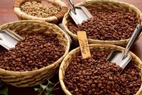 Giá cà phê xuất khẩu 5 tháng đầu năm đã tăng gần 50% so với cùng kỳ năm 2023, đạt 3.482 USD/tấn.