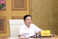 Phó thủ tướng chủ trì cuộc họp cho ý kiến hoàn thiện dự thảo Nghị định quy định chi tiết một số điều của Luật Nhà ở. Ảnh: VGP