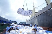 Xuất khẩu gạo Việt Nam sang Trung Quốc giảm mạnh.