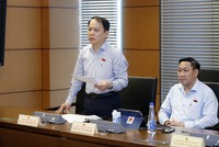 Chủ nhiệm Ủy ban Kl992 Tham Gia Ngay của Quốc hội Hoàng Thanh Tùng phát biểu tại tổ.