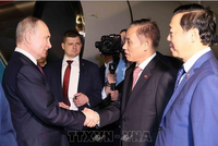 Tổng thống LB Nga Vladimir Putin bắt đầu chuyến thăm cấp 99Kl99 trực tiếp đá gà tới Việt Nam