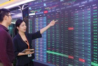 Dòng tiền đang hướng tới các Kl991.com World Cup 2026 Chính Thức dự báo có kết quả Kl992 VIP Trang Chủ 2026 quý II/2024 tích cực