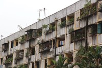 99Kl99 trực tiếp đá gà sẽ đứng ra cải tạo, xây dựng lại chung cư cũ