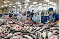 Xuất khẩu thủy sản trong tháng 7/2024 tăng gần 14% so với cùng kỳ năm ngoái.
