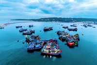 Hải Phòng hướng đến là trung tâm Kl992 cổng game cá cược biển hiện đại của Đông Nam Á