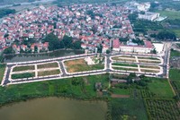 Hà Nội sẽ công khai tên người trả giá cao nhưng bỏ cọc đất đấu giá