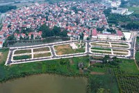 Các lô đất được đưa ra đấu giá tại huyện Hoài Đức (Hà Nội) ngày 19/8/2024, trong đó có lô đất được nhà Kl99ok phiên bản mới trả gấp hơn 18 lần so với giá khởi điểm. Ảnh: VGP