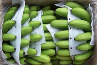 Việt Nam giữ thị phần xuất khẩu chuối tươi số 1 tại Trung Quốc.
