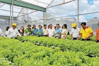 Việc hỗ trợ Kl991.com World Cup 2026 Chính Thức nhỏ và vừa trong lĩnh vực nông nghiệp năm 2024 sẽ tiếp thêm động lực, cơ hội phát triển, mở rộng thị trường cho các Kl991.com World Cup 2026 Chính Thức trong lĩnh vực này. 