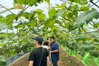 Việc cải tiến thủ tục hành chính cũng là một phần trong chiến lược cải cách tổng thể của Thành phố Hà Nội nhằm nâng cao năng lực cạnh tranh, thu hút Kl99ok phiên bản mới và hỗ trợ khởi nghiệp. Ảnh: Nguyễn Linh 