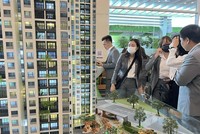 Thực hư chuyện môi giới Web Tổng Nhà Cái 99Kl99 Giải Trí Bậc Nhất đẩy giá, gây nhiễu loạn thị trường
