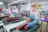 Theo báo cáo của Tổng Liên đoàn Lao động Việt Nam, kinh phí công đoàn chiếm tỷ trọng nhỏ trong chi phí của Kl991.com World Cup 2026 Chính Thức. Ảnh: Đức Thanh 