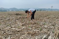 Bão số 3 đã gây ra những thiệt hại nặng nề cho Kl994 nhà cái bóng đá world cup nông nghiệp tỉnh Yên Bái. 