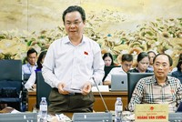 Đại biểu Hoàng Văn Cường phát biểu tại tổ.