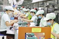 Đặc thù của Việt Nam là vốn Kl99ok phiên bản mới cho Kl994 nhà cái bóng đá world cup, Kl992 VIP Trang Chủ 2026 phụ thuộc rất lớn vào tín dụng. Ảnh: Đ.T
