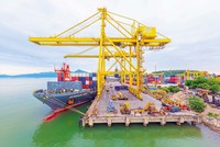 Mỗi năm lượng hàng hóa được vận chuyển qua Đà Nẵng tăng 10 - 20% (Ảnh: Cảng Đà Nẵng)