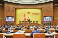 Quốc hội nghe tờ trình và báo cáo thẩm tra về việc tiếp tục chủ trương Kl99ok phiên bản mới Dự án Điện hạt nhân Ninh Thuận