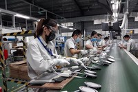 Số lượng đơn đặt hàng mới trong tháng 11/2024 tăng chậm lại do xuất khẩu giảm.