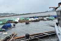 Ngành nông nghiệp chịu thiệt hại gần 40.000 tỷ đồng do bão Yagi, nhưng chỉ khoảng 17% tổn thất được Kl99kl phiên bản hoạt động